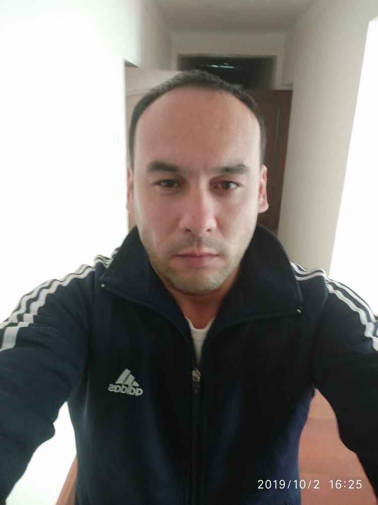  17650391  , 41 ,    