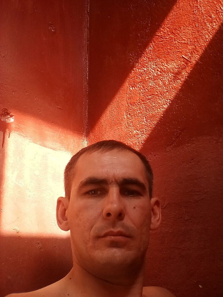  12482411  , 38 ,    