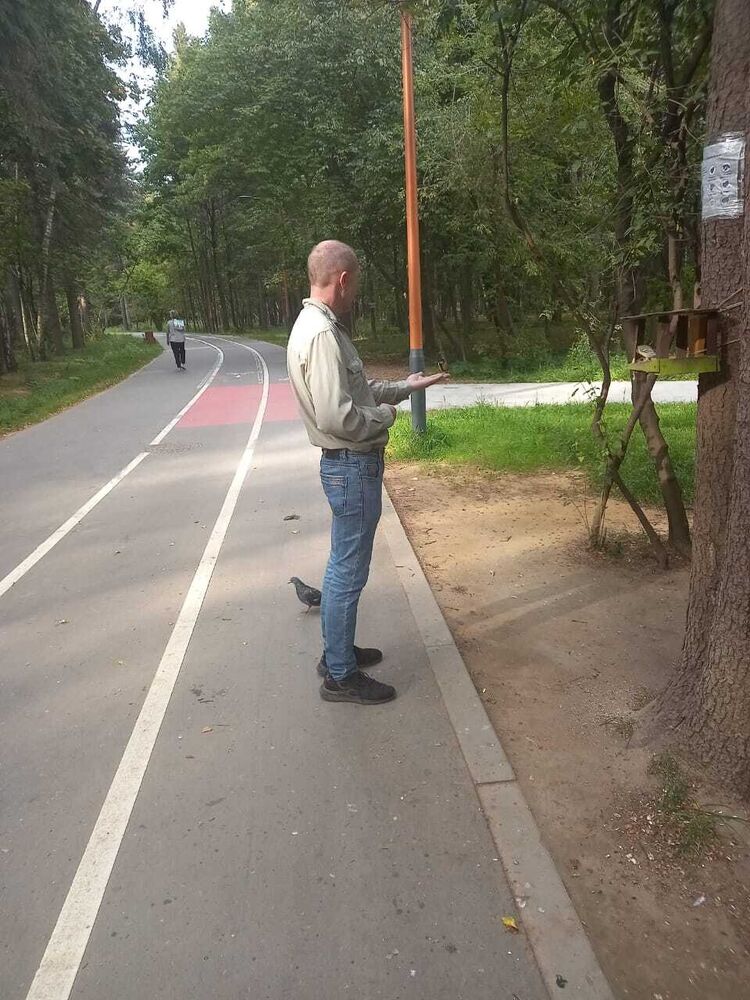  ,   , 46 ,   