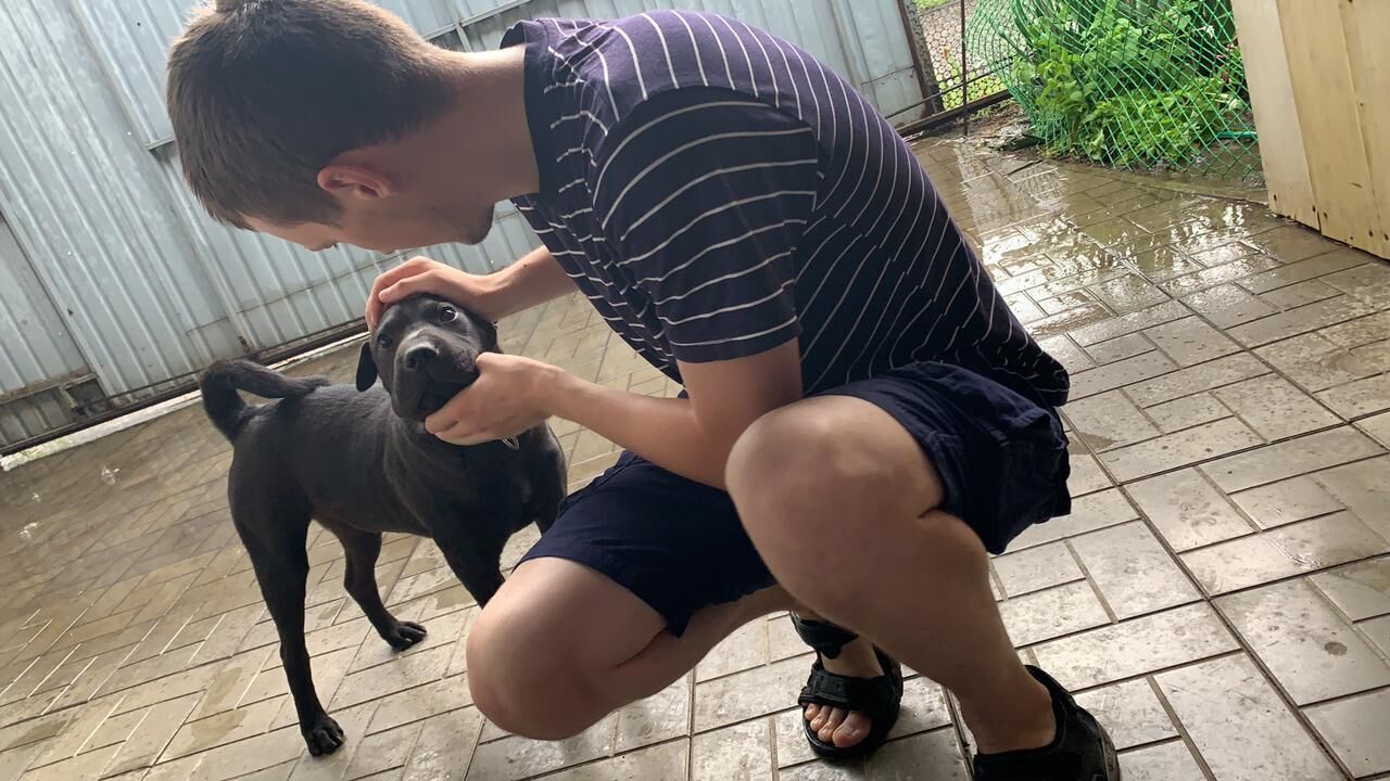 ���������� ���������, ���� ������� �����, 31 ���, ������������ 