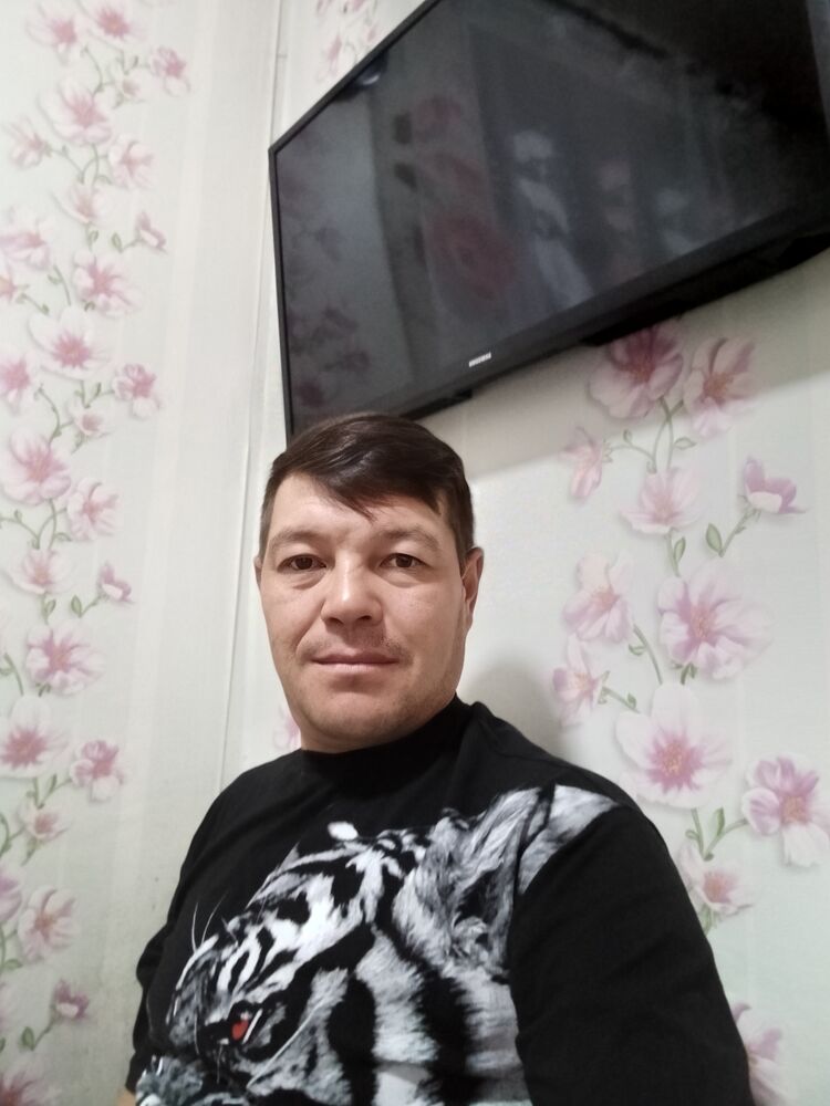  46404601  , 43 ,    