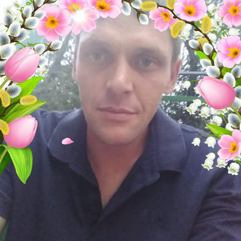 ���� 33074661 ������� � � �, 38 ���, ���� ���������� � �������