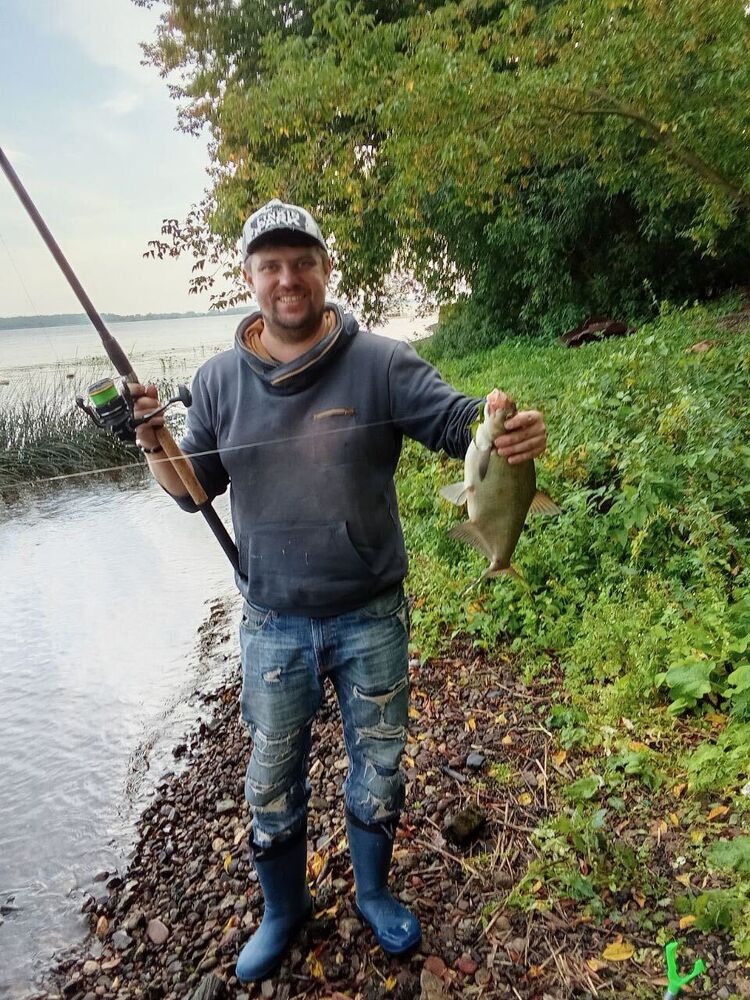 ���� 56027451 ������� ���������, 38 ���, ���� ���������� � ��������