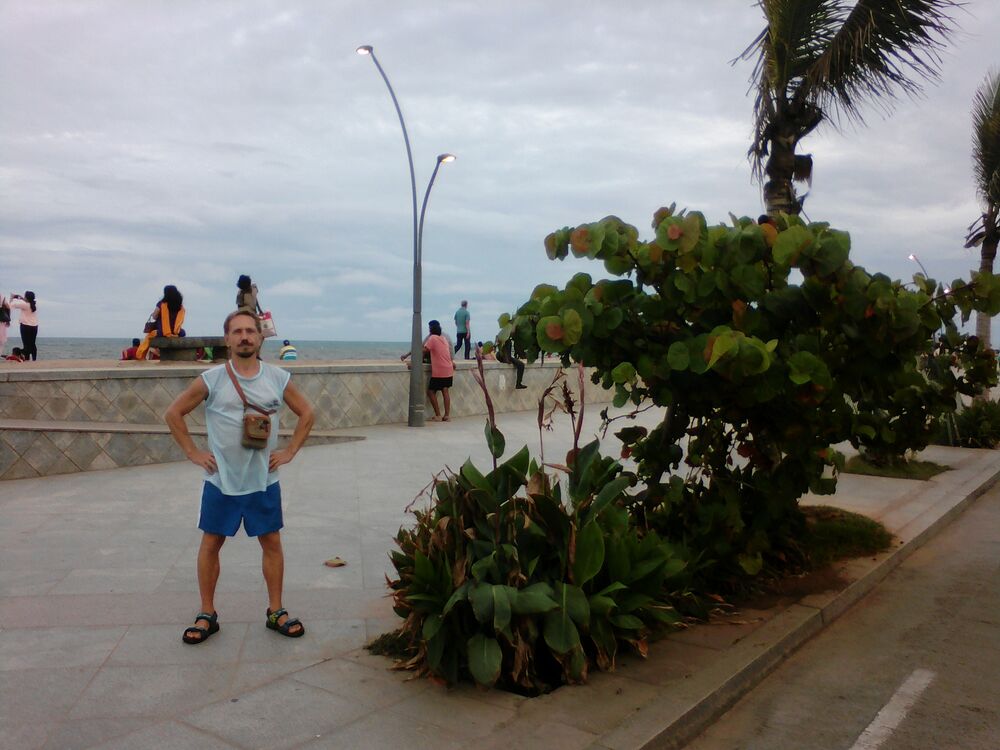 ���� 29342851 ������� ������, 45 ���, ���� ���������� � ������