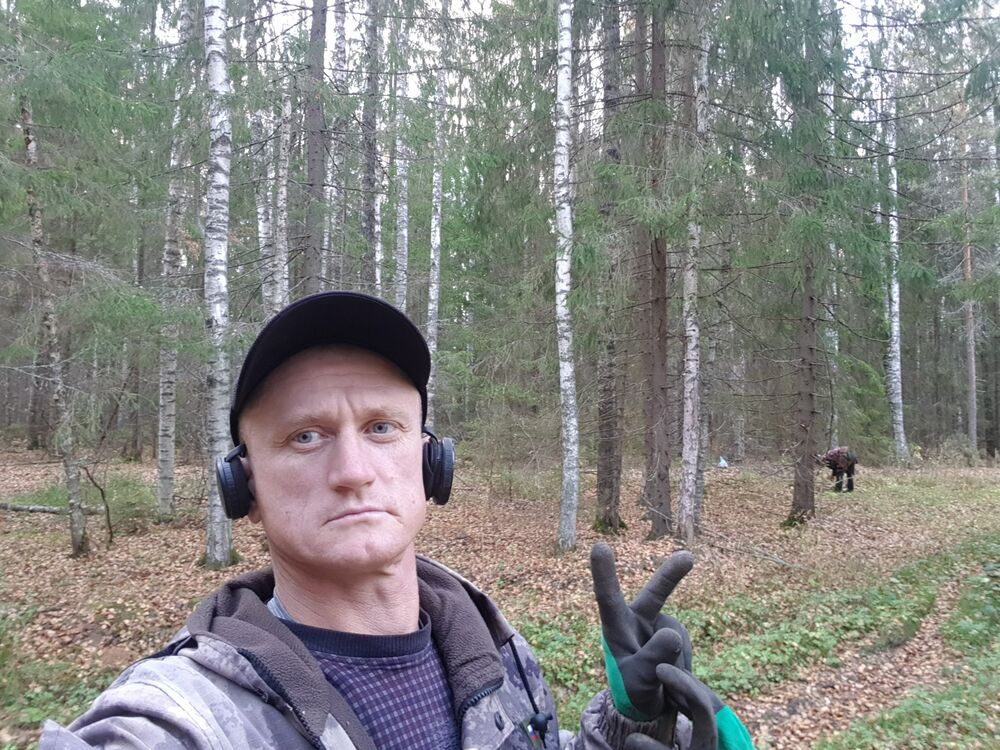  31772451  , 41 ,    --