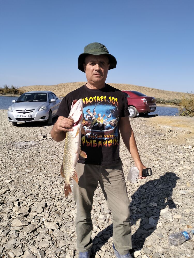 ���� 49922841 ������� ��������, 54 ����, ���� ���������� � ��������