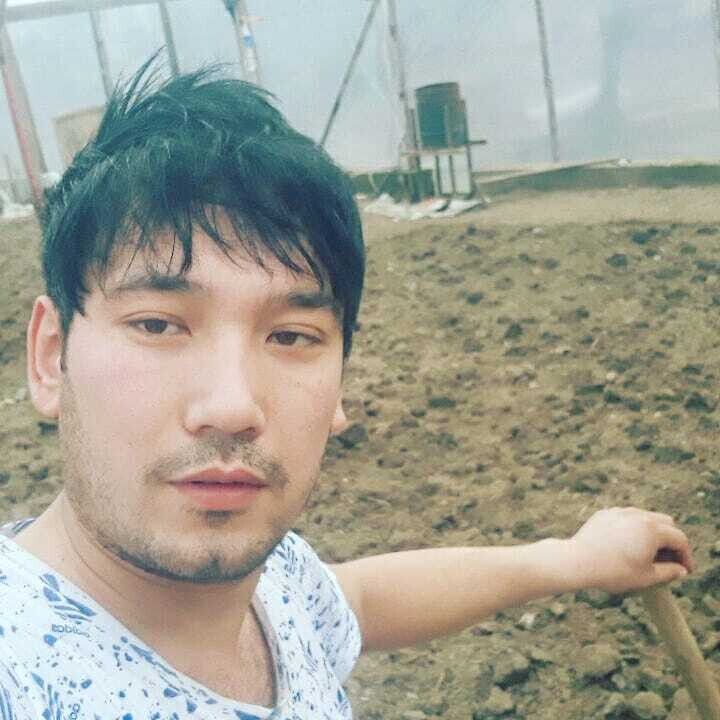  20479081  MIRZO, 34 ,    