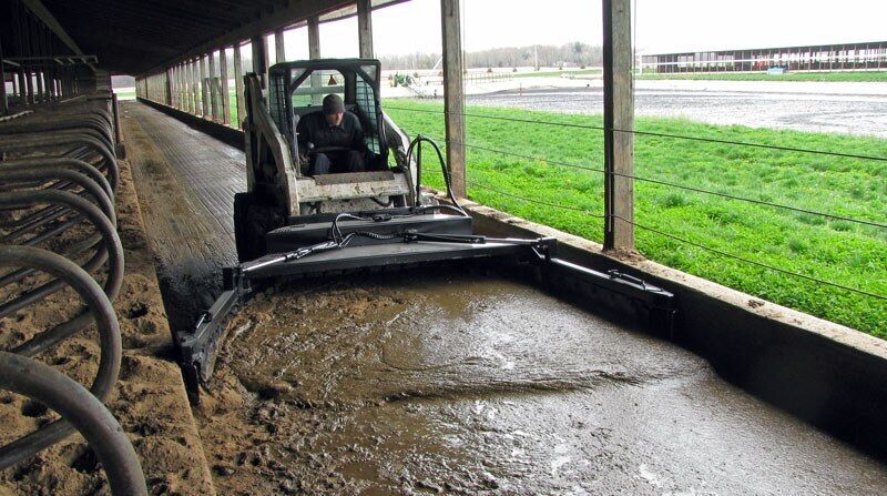 ���������� �����-���������, ���� ������� ���������, 53 ����, ������������ 