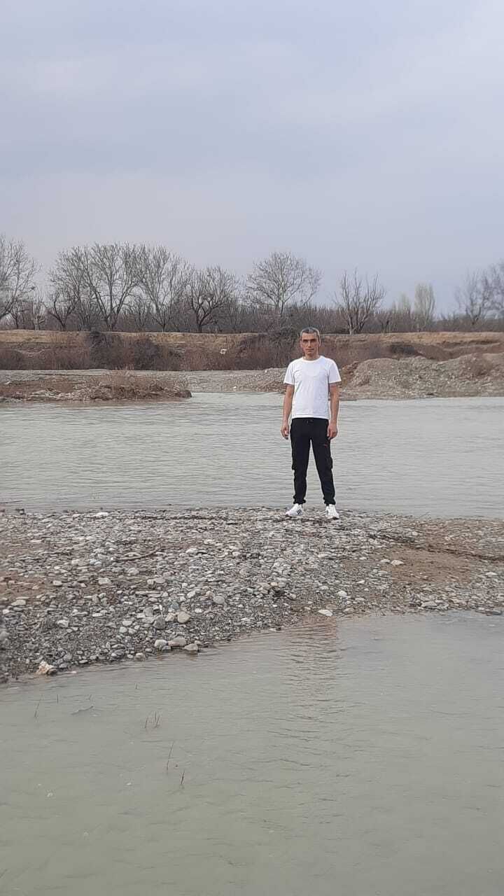 ���� 33869601 ������� �����, 40 ���, ���� ���������� � �������