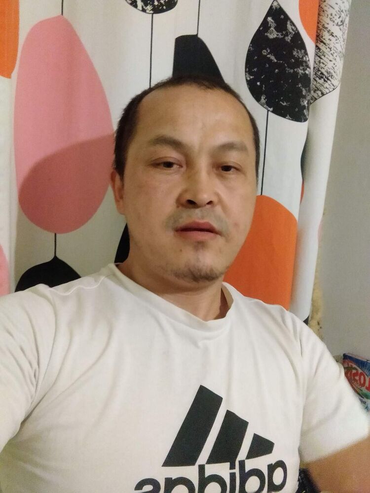  42325321  , 38 ,    