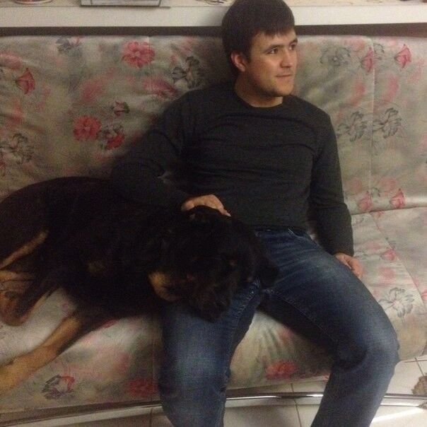 ���� 8379641 ������� �����, 33 ����, ���� ���������� � ������������