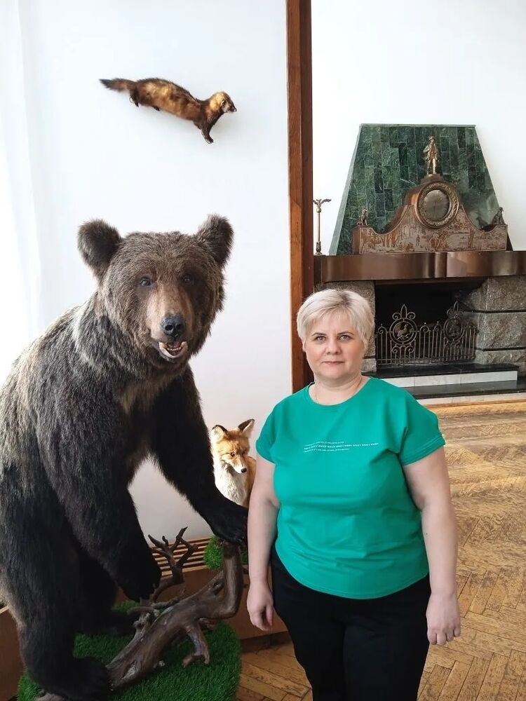 ���� 56008581 ������� �����, 51 ���, ���� ���������� � �������