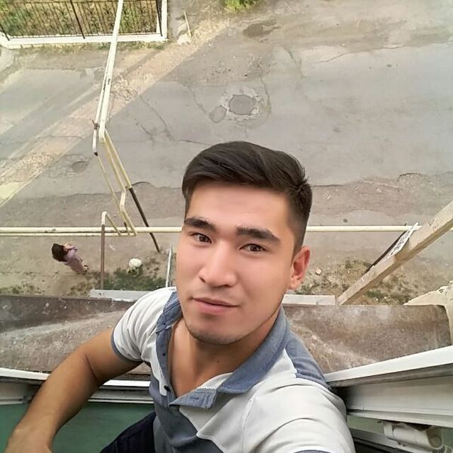  31608681  , 27 ,    