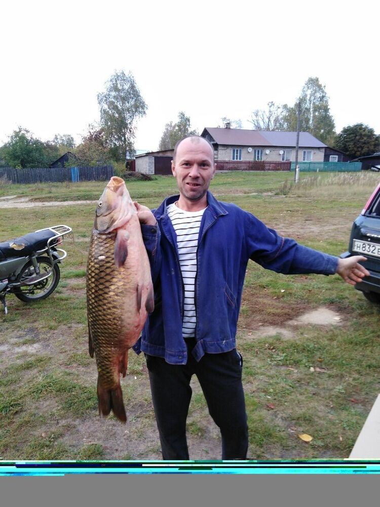 ���� 17532821 ������� ��������, 50 ���, ���� ���������� � ���������