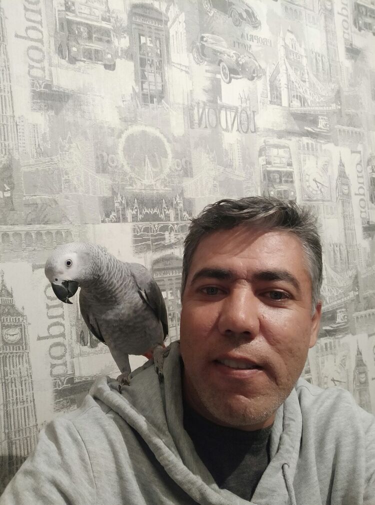 ���� 22545051 ������� ��������, 48 ���, ���� ���������� � ��������