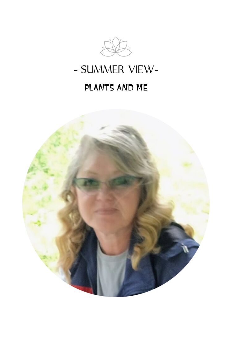 ���������� ������, ���� ������� ���, 56 ���, ������������ ��� c�������� ���������