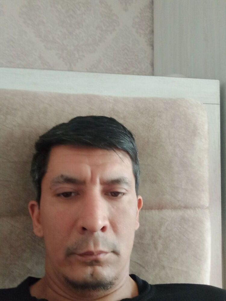  34637761  , 41 ,    