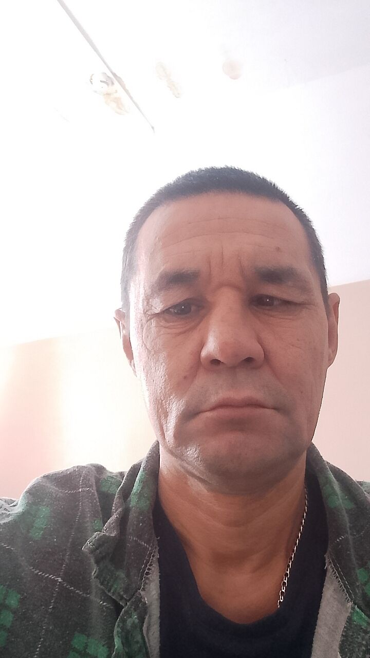  49086181  , 46 ,    