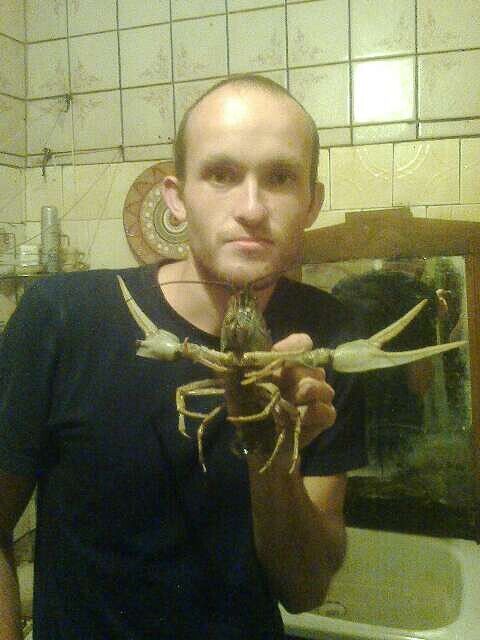 ���� 42762111 ������� �������, 36 ���, ���� ���������� � ����