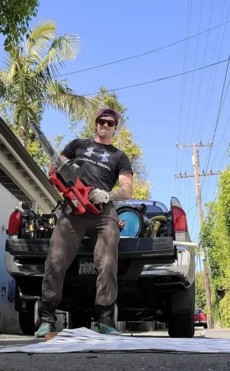 ���� 40917391 ������� ����, 36 ���, ���� ���������� � ����