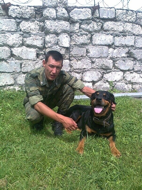 ���������� ���������, ���� ������� ������, 34 ����, ������������ ��� ������, ����� � ���������