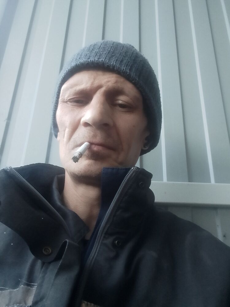  50084591  , 43 ,    
