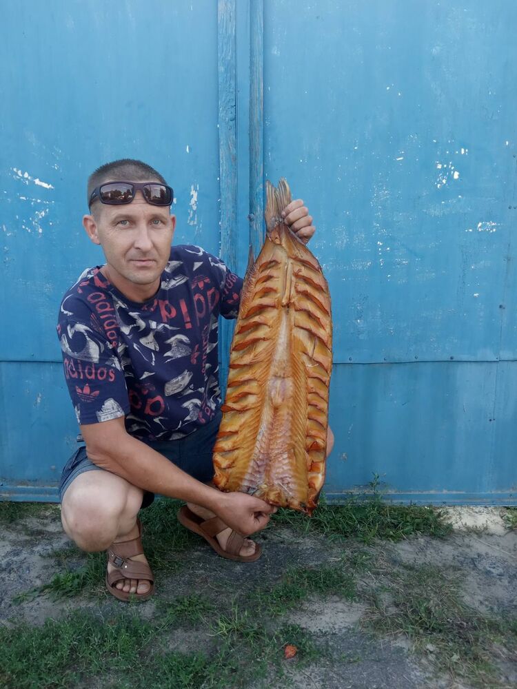 ���� 29385071 ������� ���������, 43 ����, ���� ���������� � ������