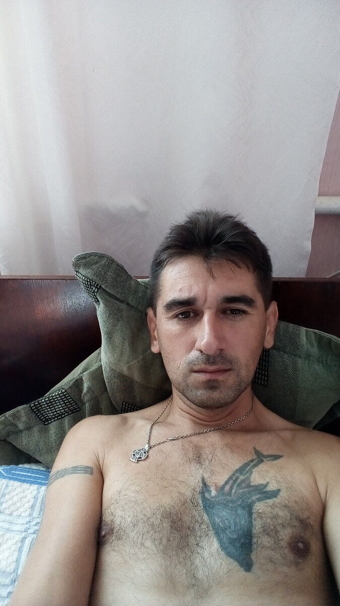  13806691  , 43 ,    