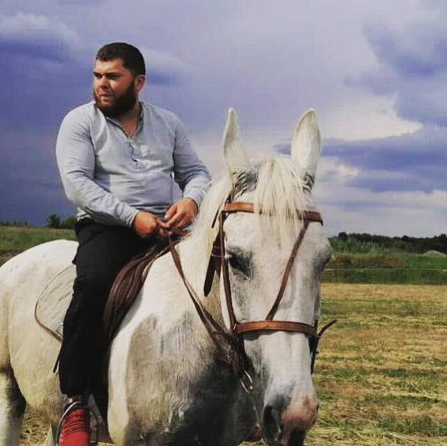 ���� 28341271 ������� �����, 29 ���, ���� ���������� � ������