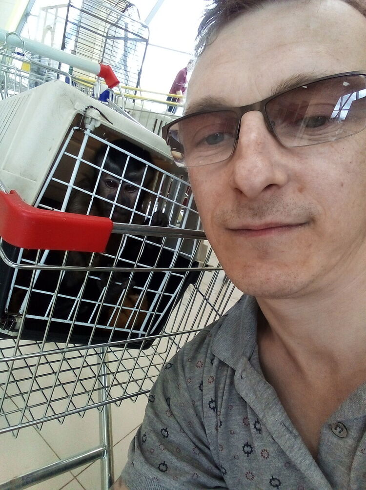 ���������� ��������, ���� ������� �������, 43 ����, ������������ ��� ������, ����� � ���������, c�������� ���������