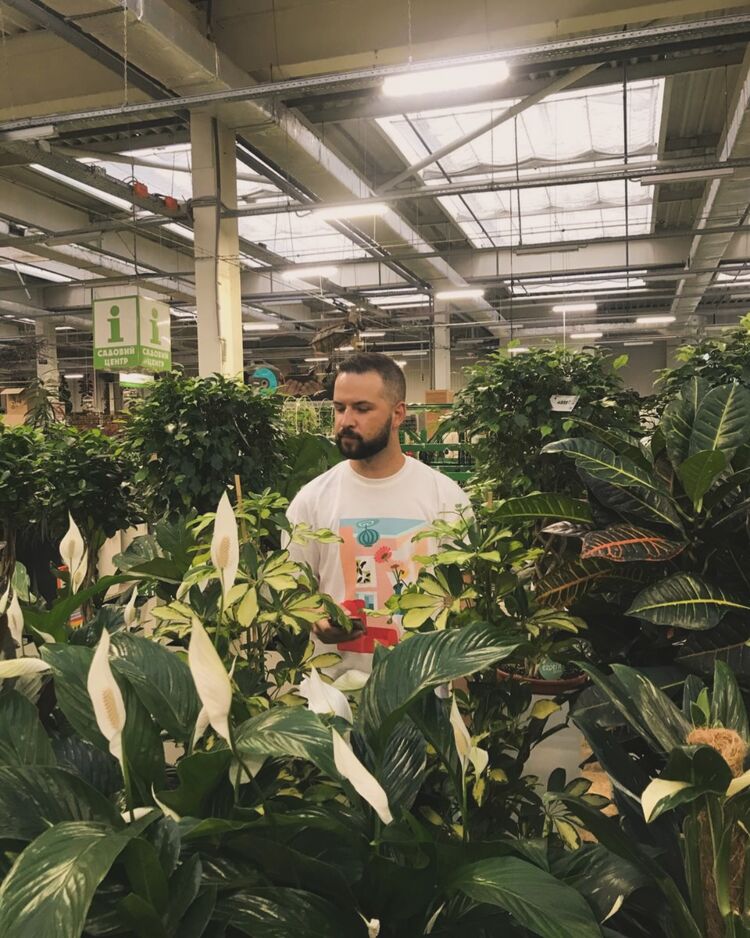 ���� 53049811 ������� ����, 34 ����, ���� ���������� � ����