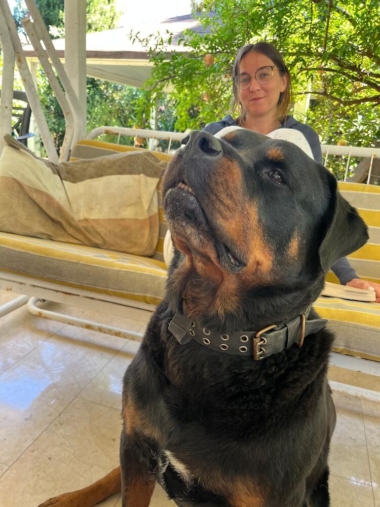 ���������� ������, ���� ������� Ginoo_S, 47 ���, ������������ ��� ������, ����� � ���������, c�������� ���������