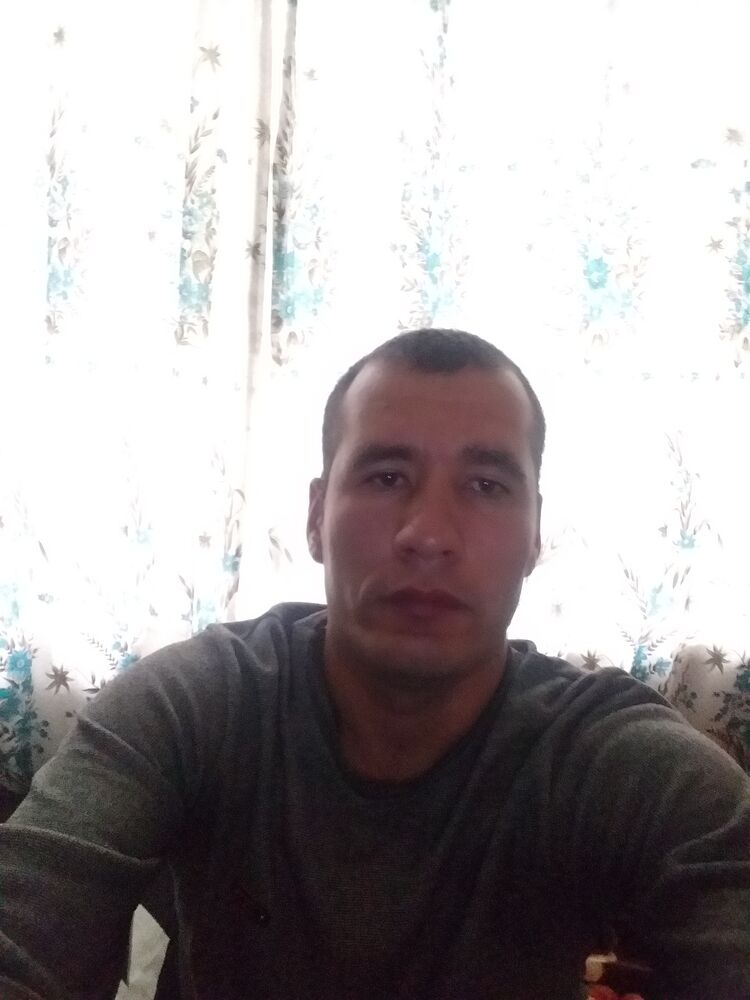  23886981  , 37 ,    
