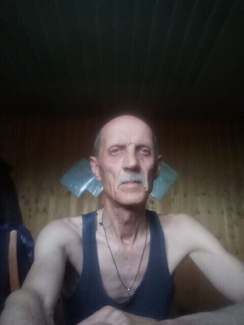  51559831  , 60 ,    