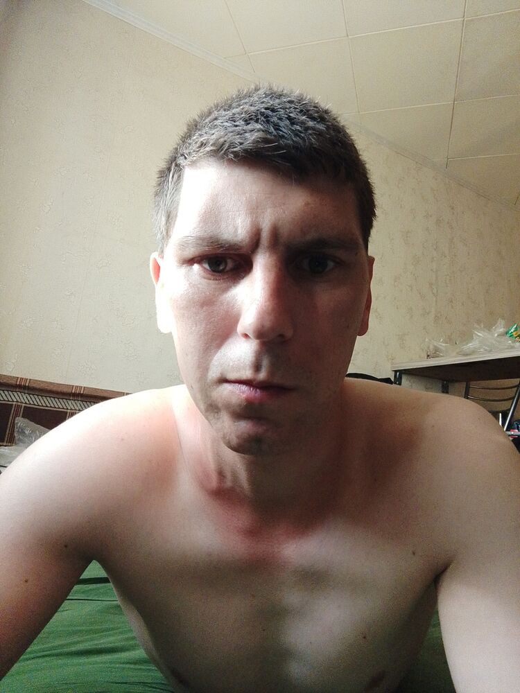  43804211  , 31 ,    