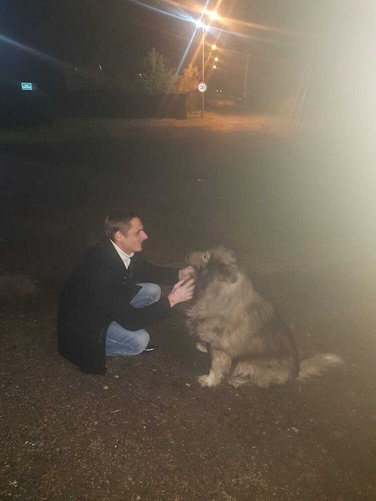 ���� 17577221 ������� ������, 37 ���, ���� ���������� � ������