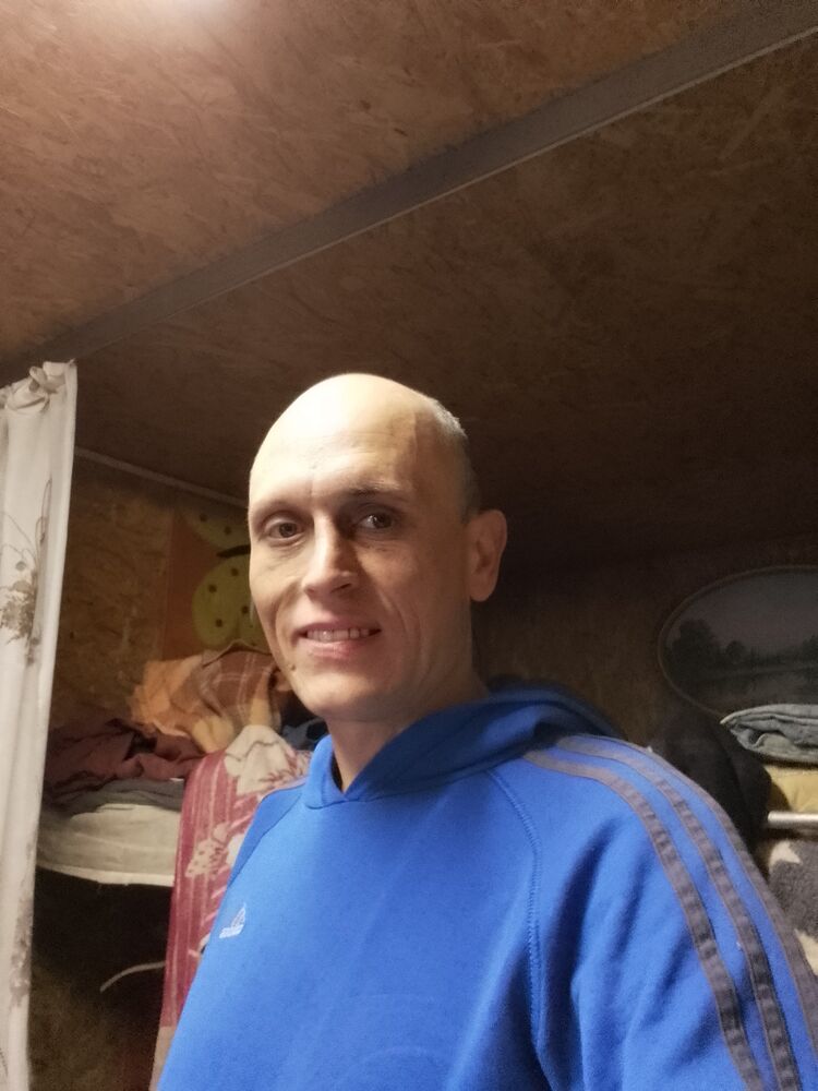  31614171  , 41 ,    
