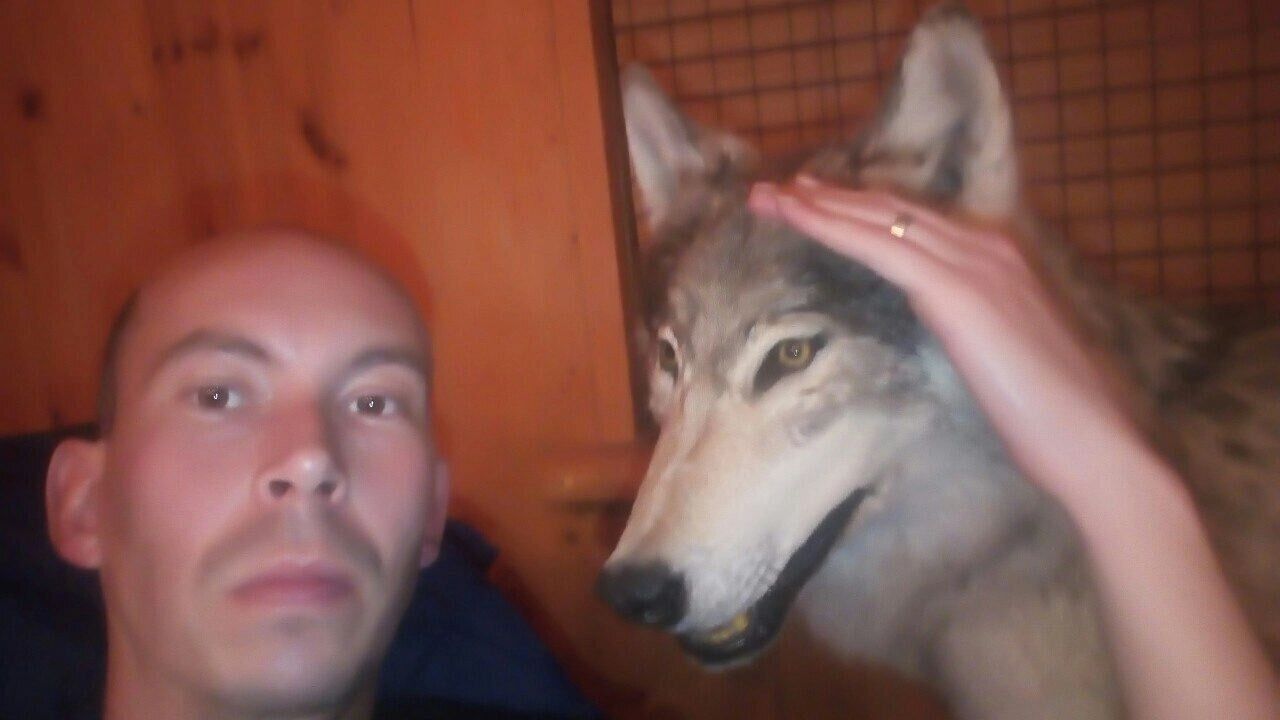 ���� 29267701 ������� �����, 37 ���, ���� ���������� � �������