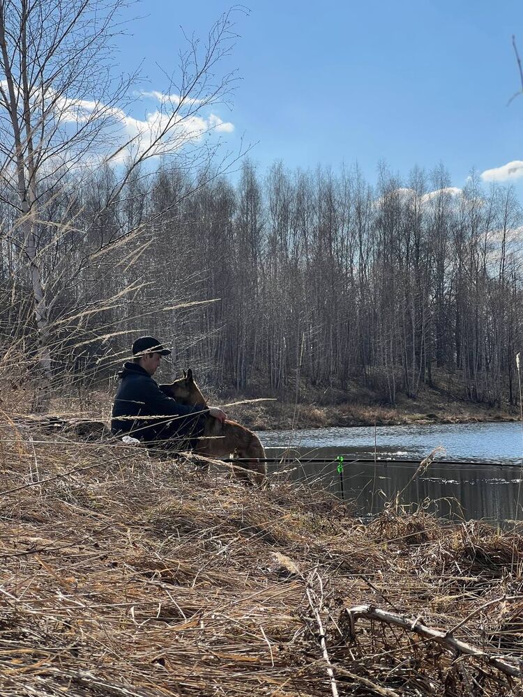 ���������� ��������, ���� ������� ������, 33 ����, ������������ ��� c�������� ���������, ���������