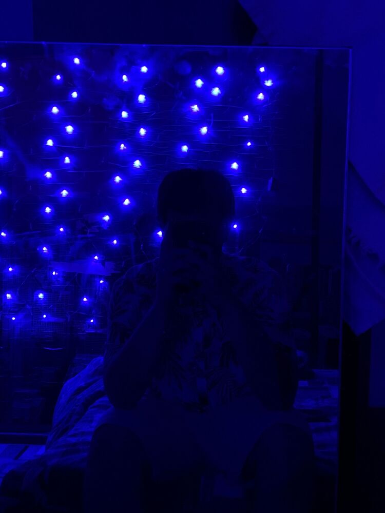  36253121  , 23 ,    