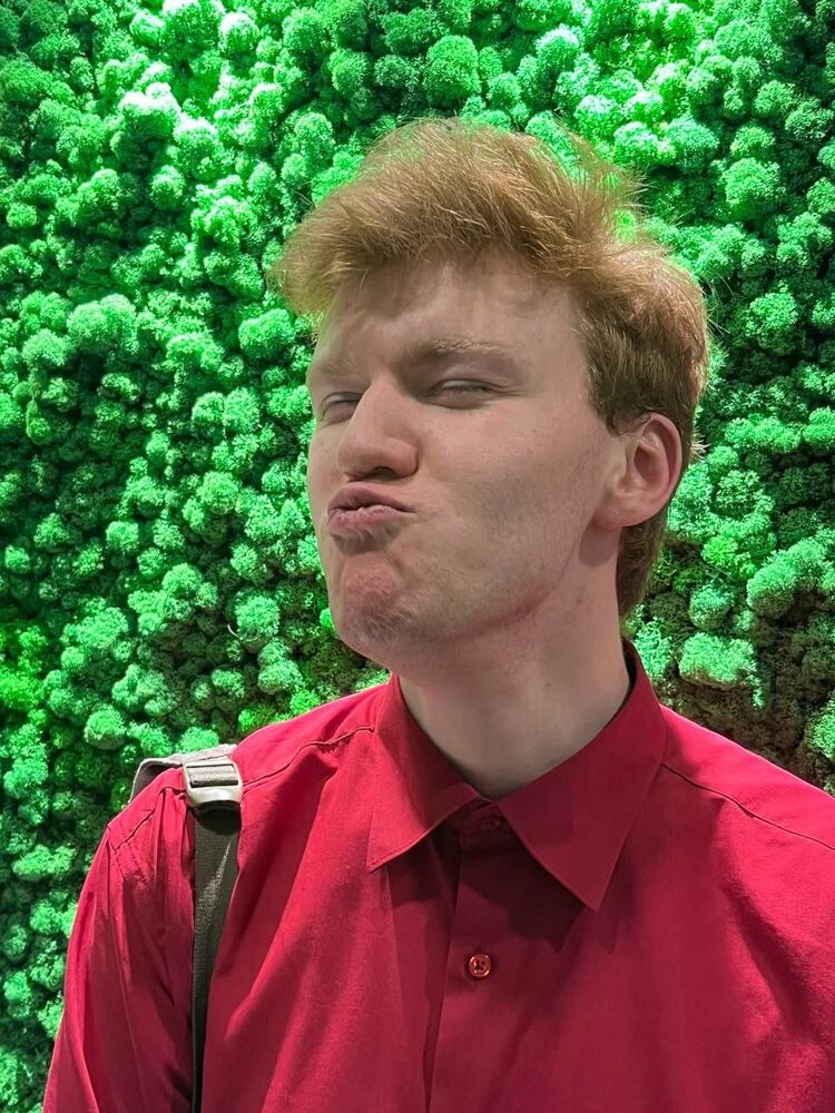 ���� 49386581 ����� ������, 24 ����, ���� ���������� � ������