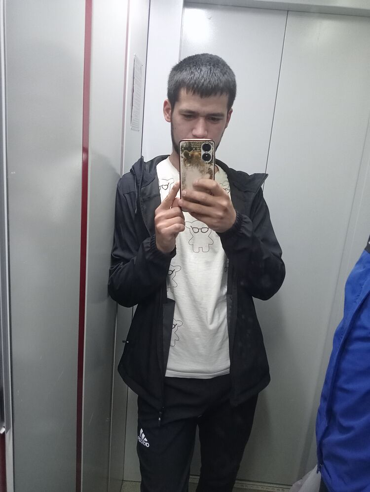  53697871  , 26 ,    