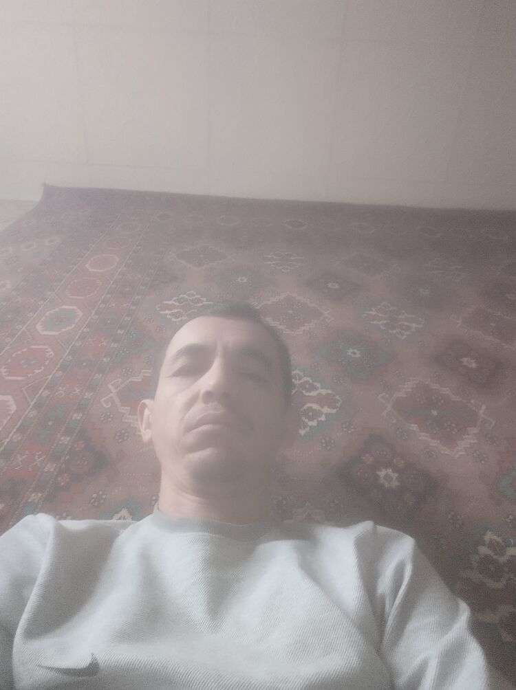  52306651  , 38 ,    