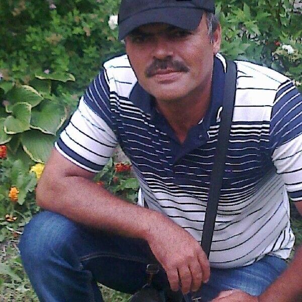  22764281  Mesut, 54 ,    