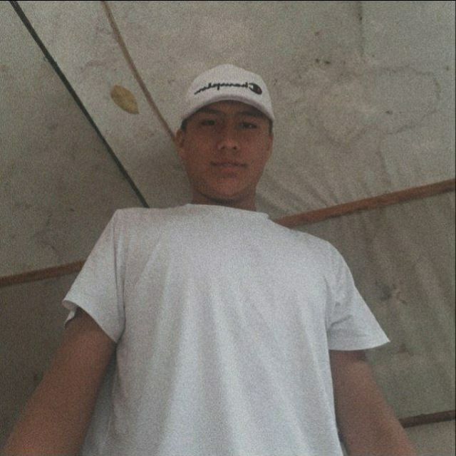 ���� 23540031 ����� �����, 24 ����, ���� ���������� � ������