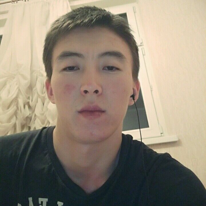  17837131  , 31 ,    