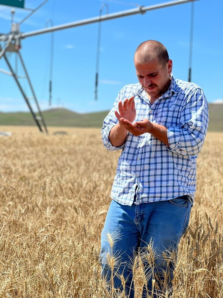 ���� 40859181 ������� Dato, 26 ���, ���� ���������� � �������