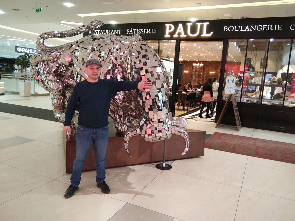 ���� 22438031 ������� ����, 43 ����, ���� ���������� � ������