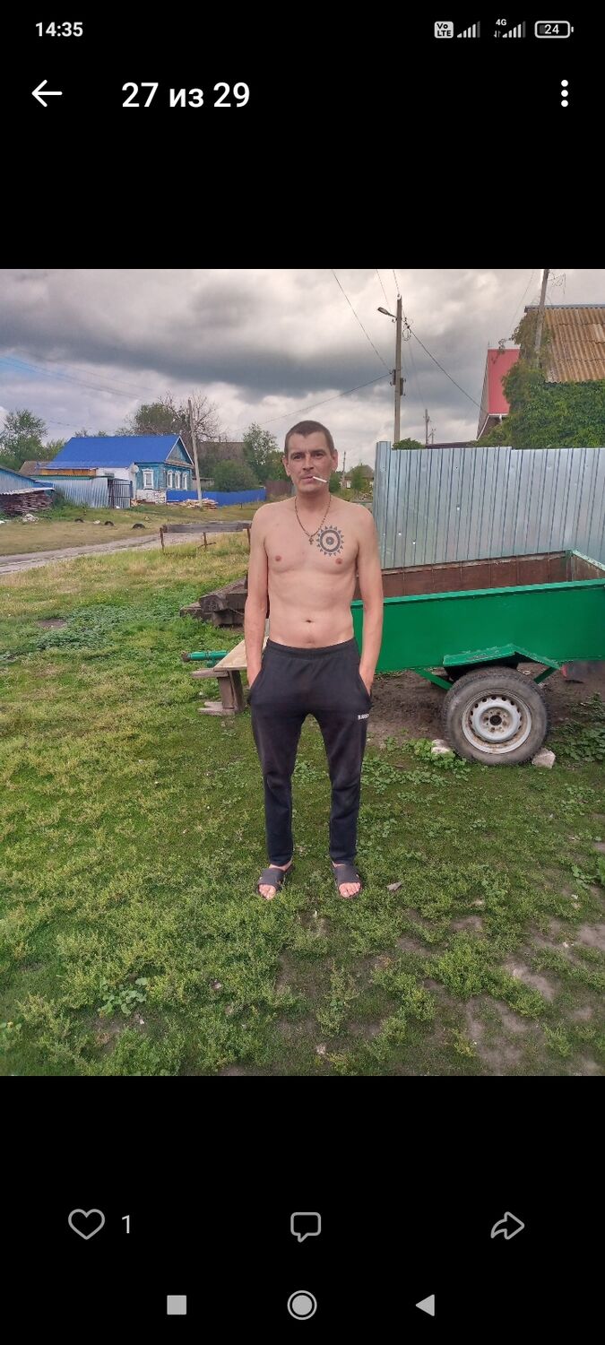  46193801  , 38 ,    