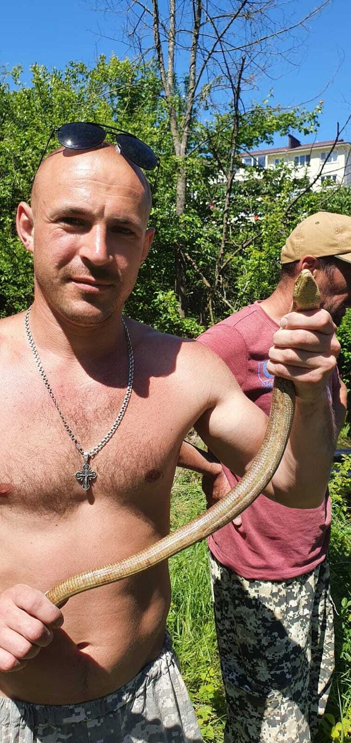 ���� 26866191 ������� ����, 33 ����, ���� ���������� � ����